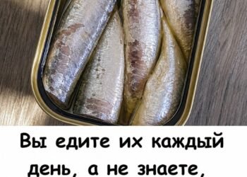 Продукты, которые естественным образом разжижают кровь и защищают сердце