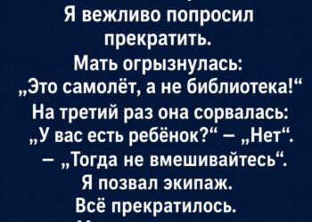 Что стояло за ударами по креслу в самолёте