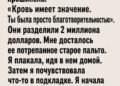 Кровь имеет значение