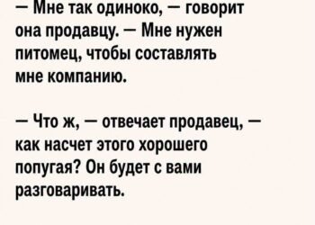 Странный разговор на следующий день