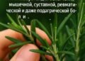 Слова, которые я услышала случайно