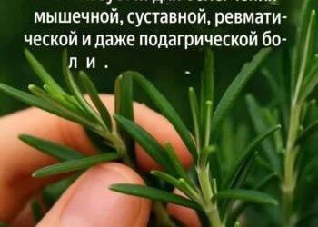 Слова, которые я услышала случайно
