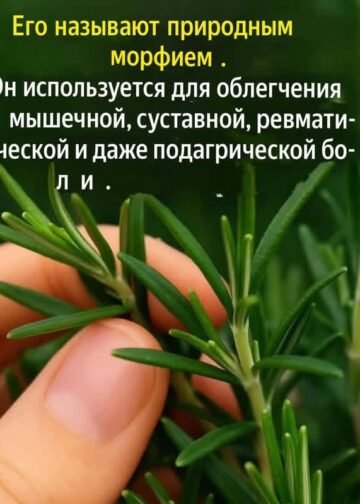 Слова, которые я услышала случайно