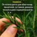 Слова, которые я услышала случайно